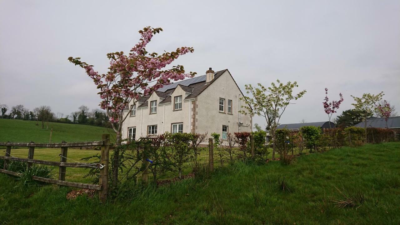 Gasthaus Laraghson House Enniskillen Exterior foto